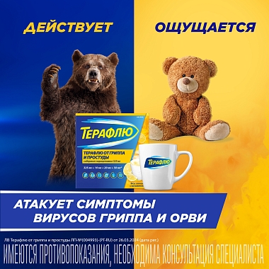 Купить Терафлю 2 г 10 шт порошок для приготовления раствора для приема внутрь лимон