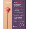 Купить Гинокомфорт 200 мл гель для интимной гигиены успокаивающий
