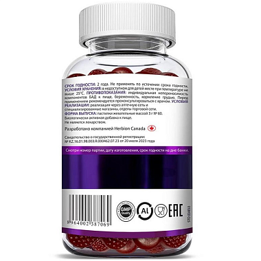 Купить Иммуно Бузина Черная 60 шт пастилки жевательные