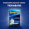 Купить Терафлю Макс 8 шт порошок для приготовления раствора для приема внутрь лимон